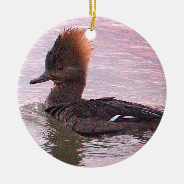 Cerâmica Ornamento de Foto de Pato (Frente)
