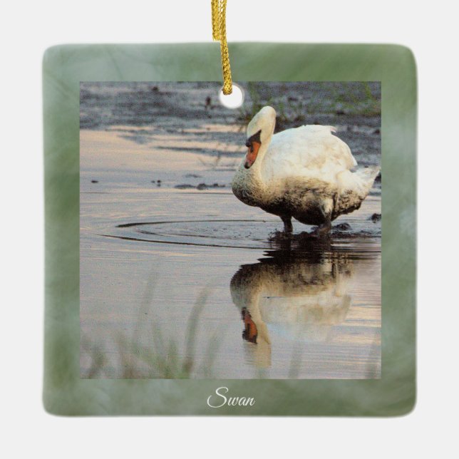 Cerâmica Ornamento de Foto Swan (Frente)