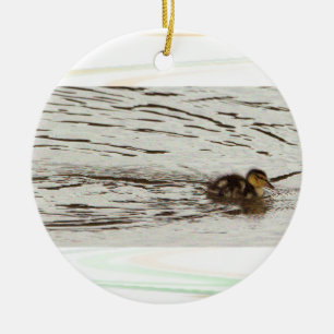 Cerâmica Ornamento de Fotografias em Duckling
