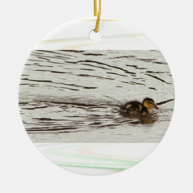 Cerâmica Ornamento de Fotografias em Duckling (Frente)