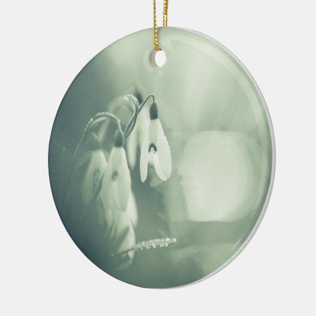 Cerâmica Ornamento de Fotos Cerâmicas da Natureza (Esquerda)