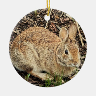Cerâmica Ornamento de Fotos do Coelho
