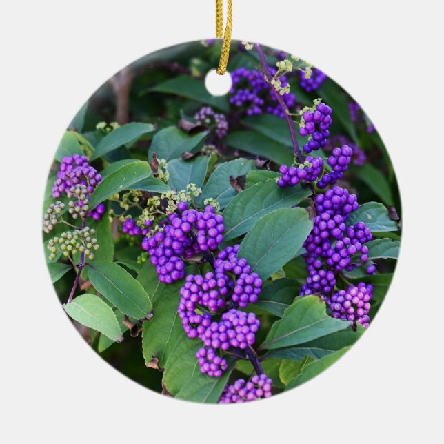 Cerâmica Ornamento de Fotos em Berries Roxo (Frente)
