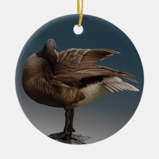 Cerâmica Ornamento de Ganso Personalizado Canadá Goose Souv (Frente)