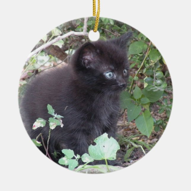 Cerâmica ornamento de gatinho preto (Frente)