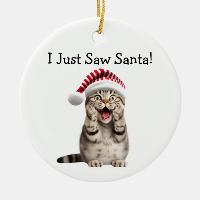 Cerâmica Ornamento De Gato De Natal De Gatinho Malvado (Frente)