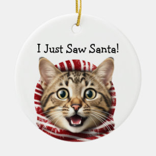 Cerâmica Ornamento de Gato Humor de Natal gatinho