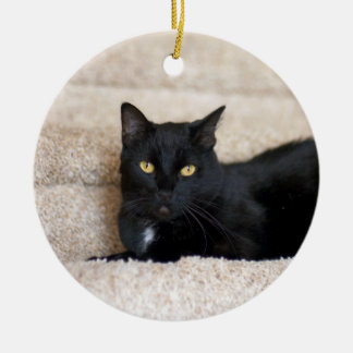 Cerâmica ornamento de Gato Negro