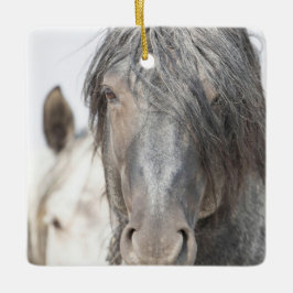 Cerâmica Ornamento de Hoofbeats Selvagens de Azul Zeus e Ir