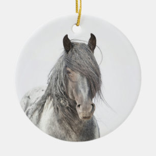 Cerâmica Ornamento de Hoofbeats Selvagens - Retrato Zeus Az