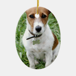 Cerâmica Ornamento de Jack Russell