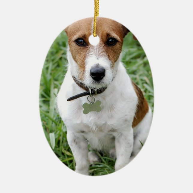 Cerâmica Ornamento de Jack Russell (Frente)