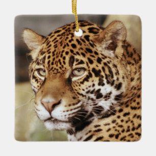 Cerâmica Ornamento de Jaguar