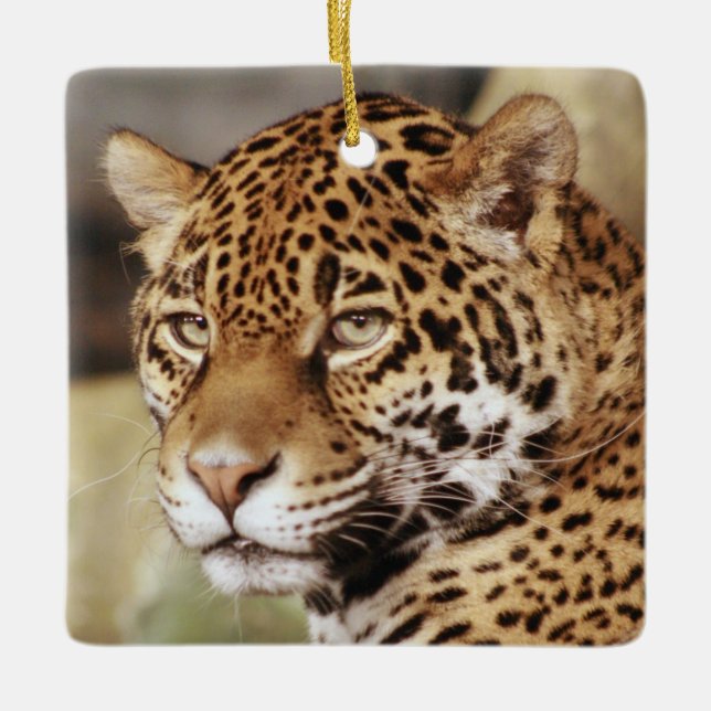 Cerâmica Ornamento de Jaguar (Frente)