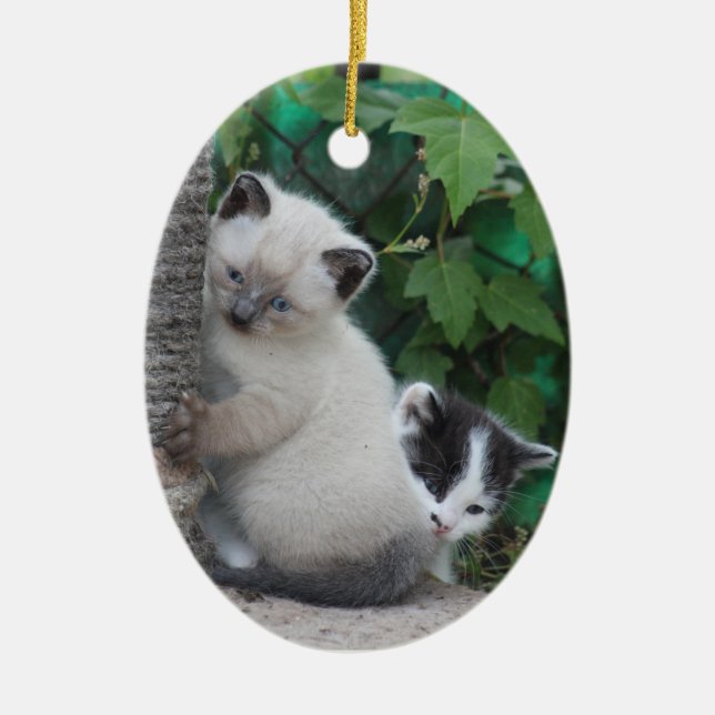 Cerâmica Ornamento de Kittens (Frente)