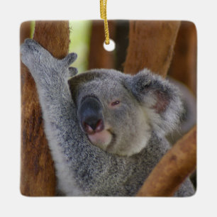 Cerâmica Ornamento de Koala, cerâmico, em Cute