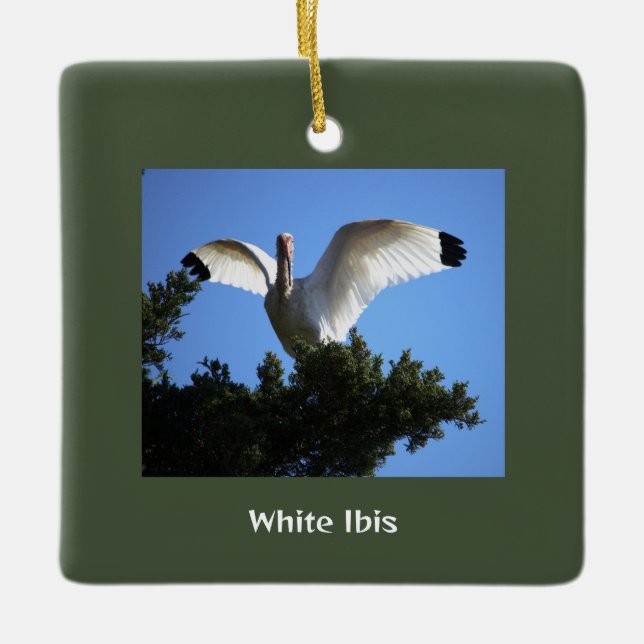 Cerâmica Ornamento De Pássaros Ibis Brancos (Frente)