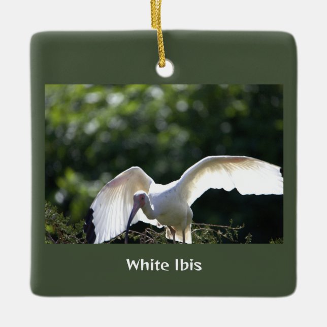 Cerâmica Ornamento De Pássaros Ibis Brancos (Frente)