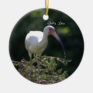 Cerâmica Ornamento De Pássaros Ibis Brancos