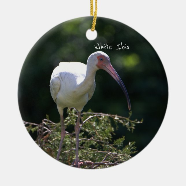 Cerâmica Ornamento De Pássaros Ibis Brancos (Frente)
