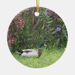 Cerâmica Ornamento de Patos Masculinos Mallard