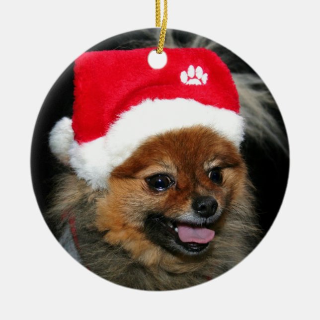 Cerâmica Ornamento de Pomeranian do Natal (Frente)