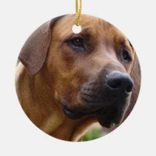 Cerâmica Ornamento de Rhodesian Ridgeback