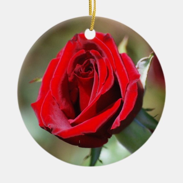 Cerâmica Ornamento de rosa vermelha (Frente)