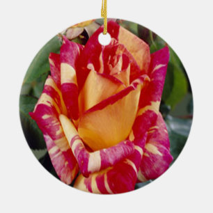 Cerâmica Ornamento de Rosas Amarelas Rosa