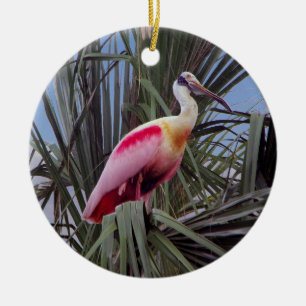 Cerâmica ornamento de Roseate Spoonbill