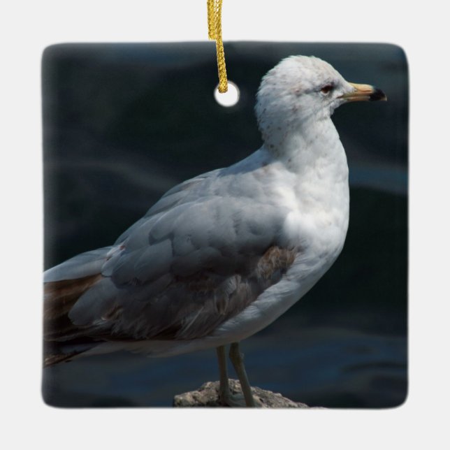 Cerâmica Ornamento de Seagull (Frente)