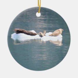 Cerâmica Ornamento de selos