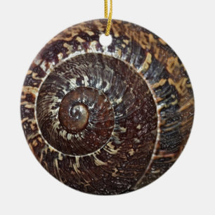 Cerâmica Ornamento de Shell de Caracol