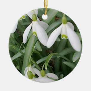 Cerâmica Ornamento de Snowdrops