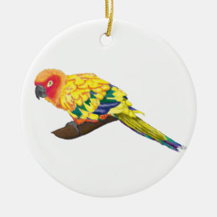 Cerâmica Ornamento de Sun Conure