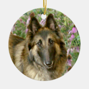 Cerâmica Ornamento de Tervuren Freidnship do belga
