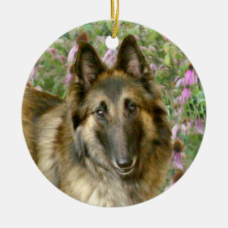Cerâmica Ornamento de Tervuren Freidnship do belga
