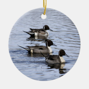 Cerâmica Ornamento de Trio de Pato Pintail