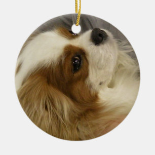 Cerâmica Ornamento descuidado de cocker spaniel