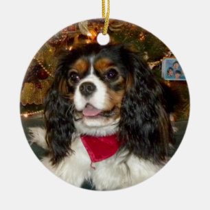 Cerâmica Ornamento descuidado do Spaniel de rei Charles