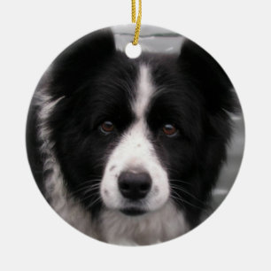 Cerâmica Ornamento do cão de border collie