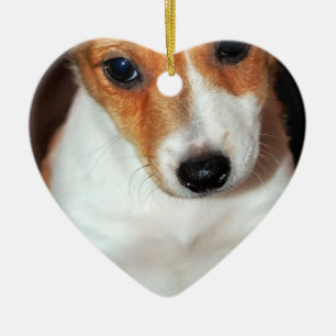 Cerâmica Ornamento do cão de filhote de cachorro de Jack