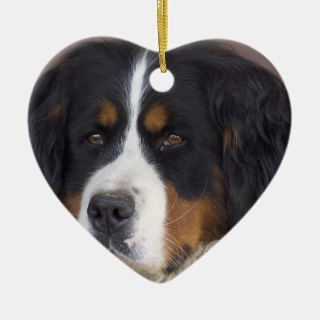 Cerâmica Ornamento do cão de montanha de Bernese (Frente)