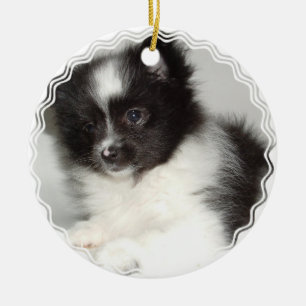 Cerâmica Ornamento do cão de Pomeranian do brinquedo