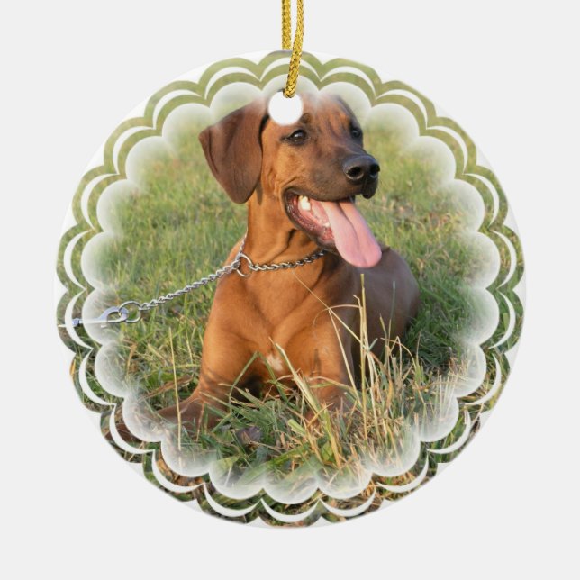 Cerâmica Ornamento do cão de Rhodesian Ridgeback (Frente)