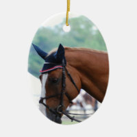 Ornamento do cavalo de Warmblood do Dutch