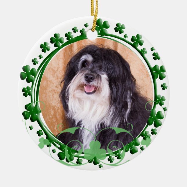Cerâmica Ornamento do dia de Havanese St Patrick (Frente)