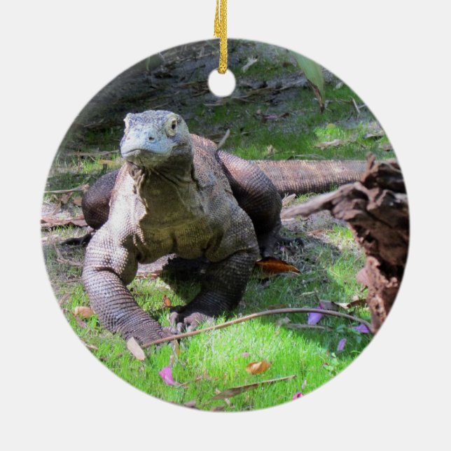 Cerâmica Ornamento do Dragão de Komodo (Traseira)