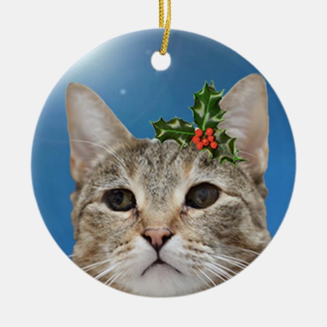 Cerâmica Ornamento do feriado da menina de Haddie (Frente)