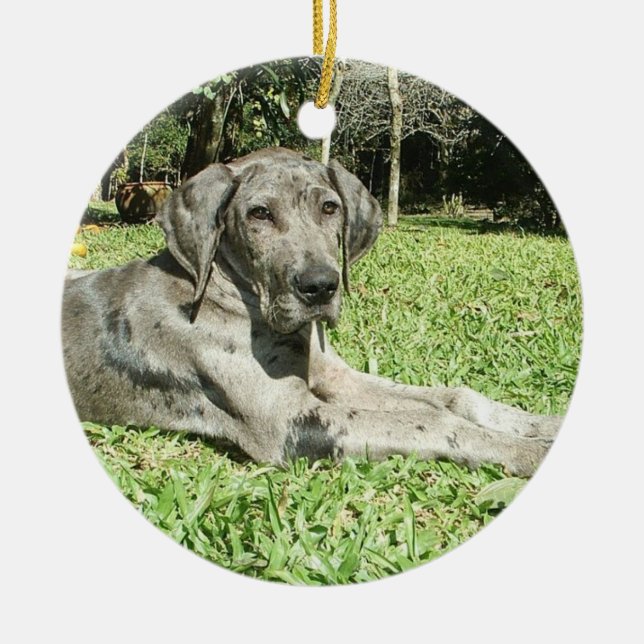 Cerâmica Ornamento do filhote de cachorro de great dane (Frente)